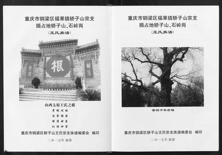 重庆王氏-王氏族谱.pdf电子版预览图3