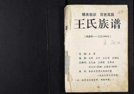 重庆王氏-王氏族谱[不分卷].pdf电子版预览图1