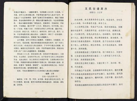 重庆王氏-王氏族谱[不分卷].pdf电子版预览图4