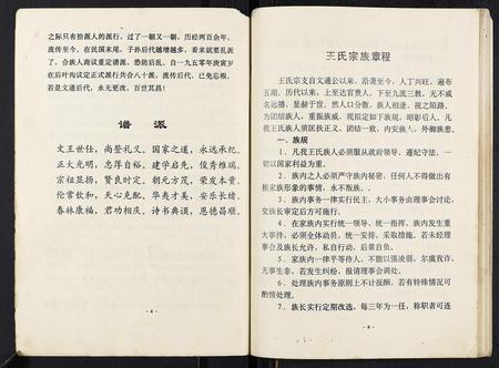 重庆王氏-王氏族谱[不分卷].pdf电子版预览图5