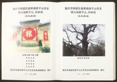 重庆王氏-重庆铜梁区福果镇王氏族谱.pdf电子版预览图3