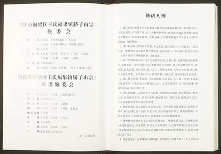 重庆王氏-重庆铜梁区福果镇王氏族谱.pdf电子版预览图4