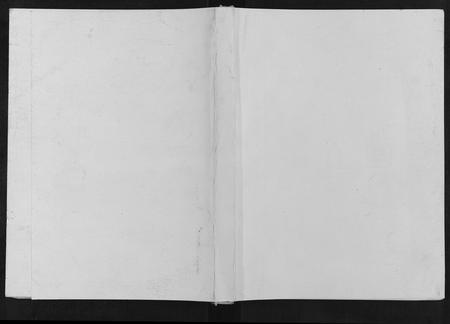 重庆王氏-云阳县琅琊王氏宗谱[不分卷].pdf电子版缩略图