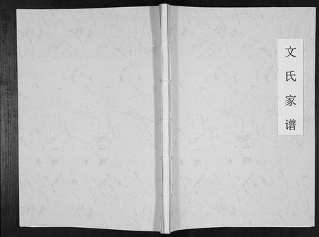 重庆文氏-文氏家谱[不分卷].pdf电子版缩略图