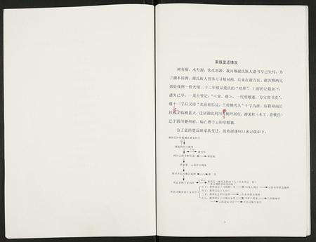 重庆谢氏-[谢氏]开县河堰岩叉口荣桂公后裔支谱.pdf电子版预览图4
