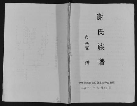 重庆谢氏-谢氏族谱.pdf电子版缩略图
