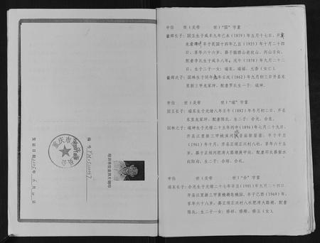 重庆谢氏-谢氏族谱.pdf电子版预览图4