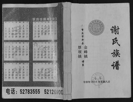 重庆谢氏-谢氏族谱.pdf电子版缩略图