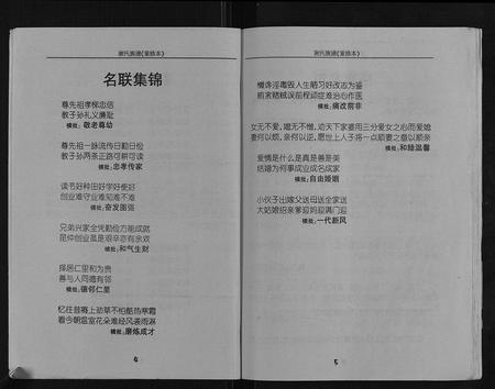 重庆谢氏-谢氏族谱.pdf电子版预览图4