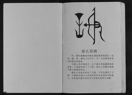 重庆谢氏-开县座堂岭谢师夷支谱.pdf电子版预览图4