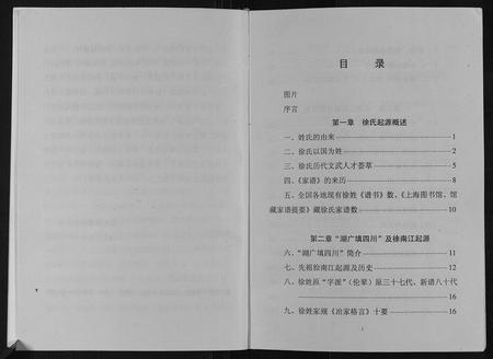 重庆徐氏-徐氏家谱.pdf电子版预览图3