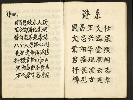 重庆徐氏-徐门家谱.pdf电子版预览图4