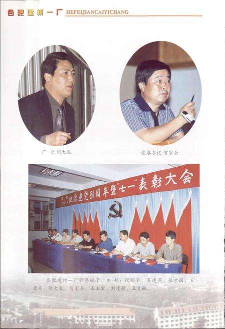 《合肥建筑材料一厂志》.pdf_安徽省志预览图5