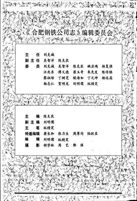 《合肥钢铁公司志 第2卷》.pdf_安徽省志预览图2