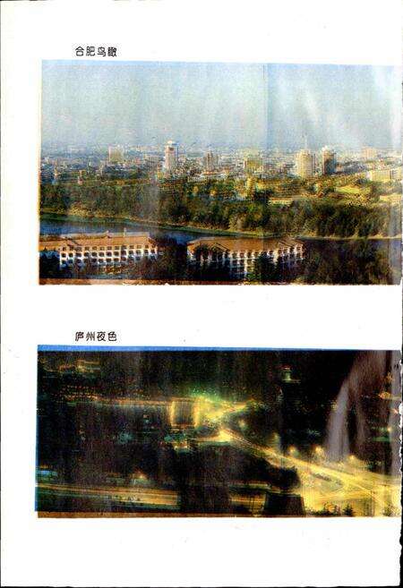 《中共合肥市委志》.pdf_安徽省志预览图4