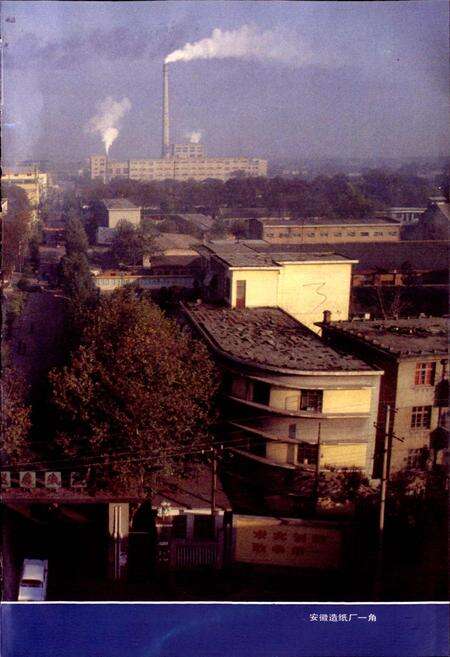 《安徽造纸厂志》.pdf_安徽省志预览图5