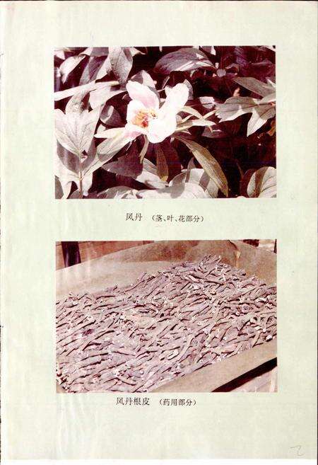 《安徽省医药志》.pdf_安徽省志预览图4