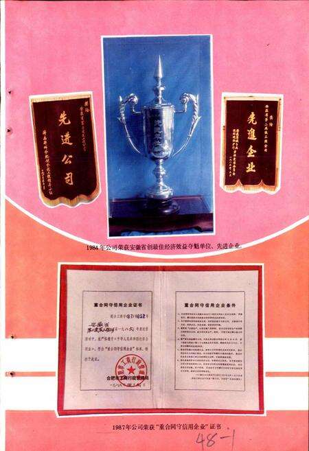 《安徽省第二建筑工程公司公司志》.pdf_安徽省志预览图2