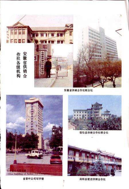 《安徽省供销合作社志》.pdf_安徽省志预览图2