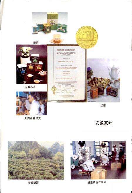 《安徽省供销合作社志》.pdf_安徽省志预览图3