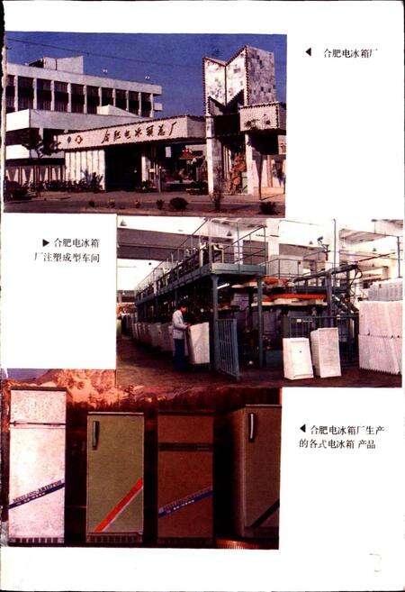 《合肥市二轻工业志》.pdf_安徽省志预览图2