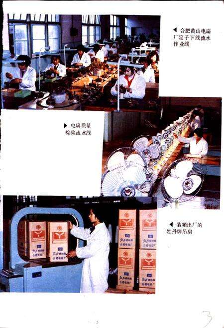 《合肥市二轻工业志》.pdf_安徽省志预览图4