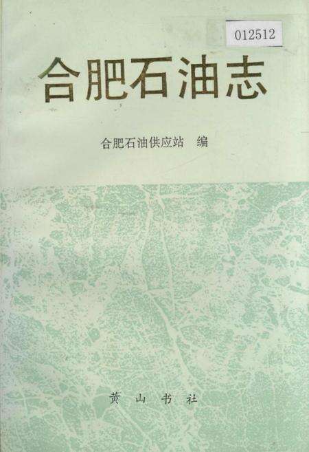 《合肥石油志》.pdf_安徽省志缩略图