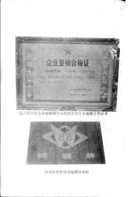 《合肥被单厂志》.pdf_安徽省志预览图5