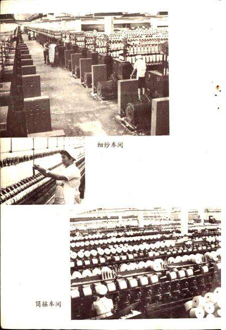 《安徽第二棉纺织厂厂志》.pdf_安徽省志预览图5