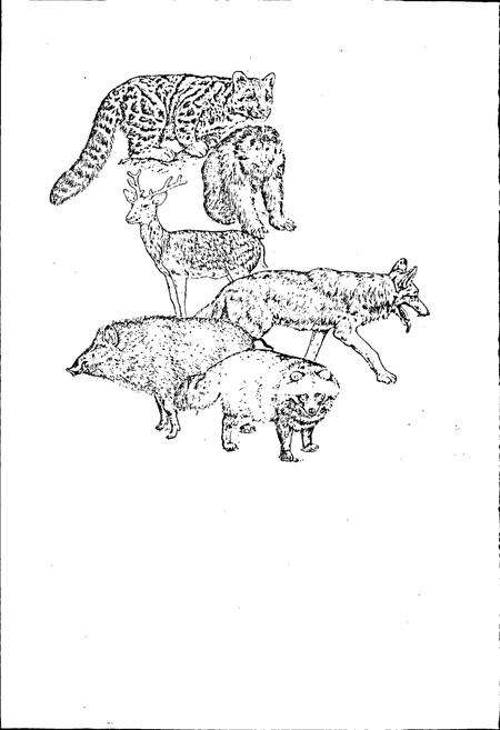 《安徽兽类志》.pdf_安徽省志预览图4