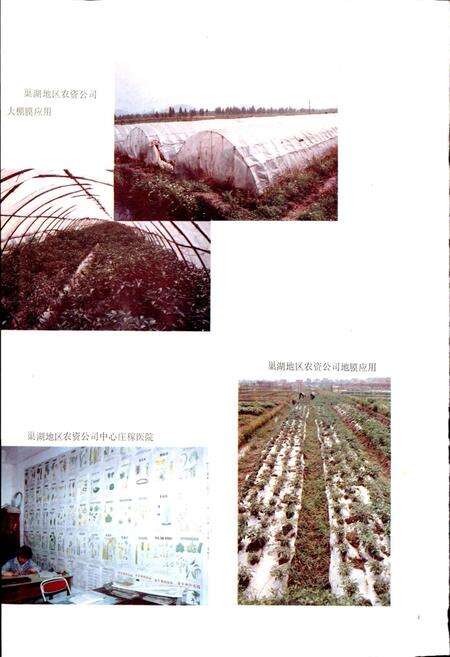 《安徽省农资公司志》.pdf_安徽省志预览图3