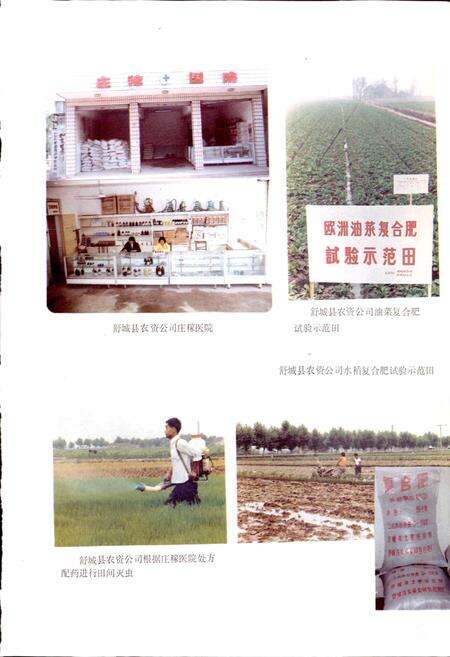 《安徽省农资公司志》.pdf_安徽省志预览图4