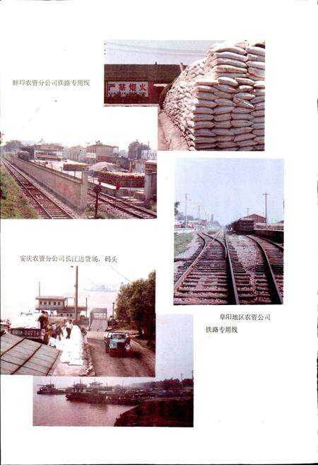 《安徽省农资公司志》.pdf_安徽省志预览图5