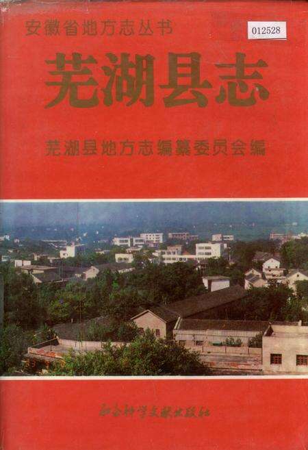 《芜湖县志》.pdf_安徽省志缩略图