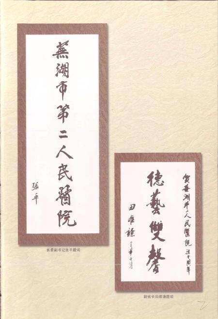 《芜湖市第二人民医院院志》.pdf_安徽省志预览图4