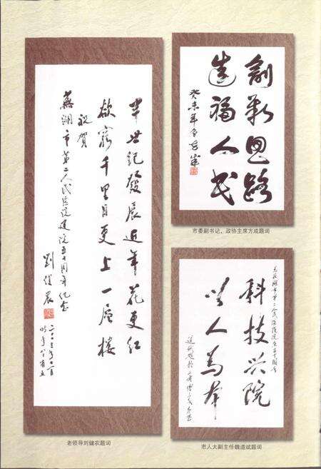 《芜湖市第二人民医院院志》.pdf_安徽省志预览图5