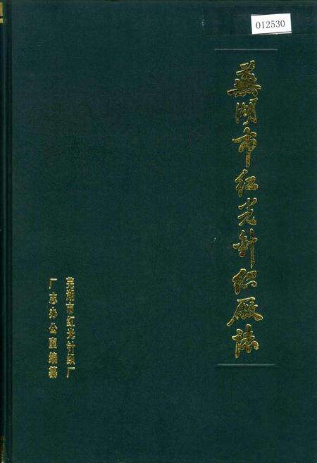 《芜湖市红光针织厂志》.pdf_安徽省志缩略图