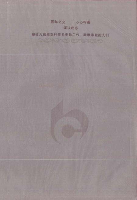 《交通银行芜湖分行志》.pdf_安徽省志预览图2