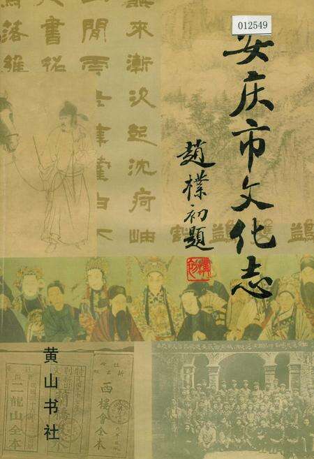 《安庆市文化志》.pdf_安徽省志缩略图