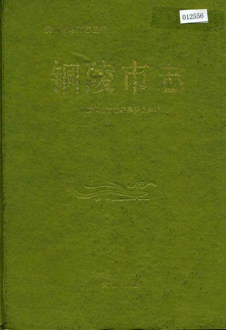 《铜陵市志》.pdf_安徽省志缩略图