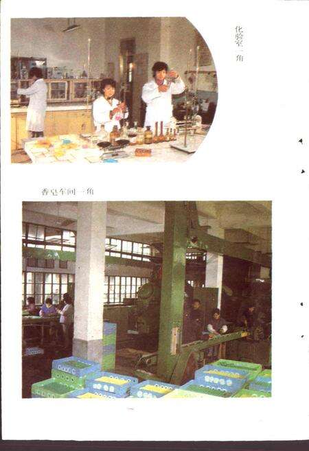 《安庆香皂厂厂志》.pdf_安徽省志预览图4