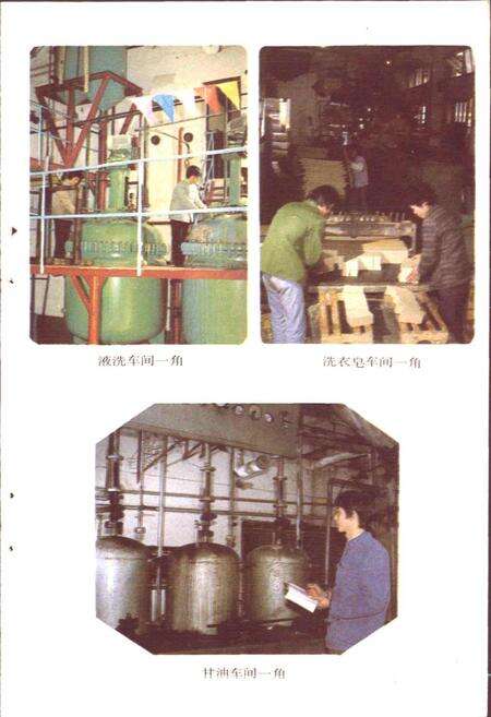 《安庆香皂厂厂志》.pdf_安徽省志预览图5