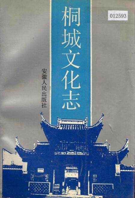 《桐城文化志》.pdf_安徽省志缩略图