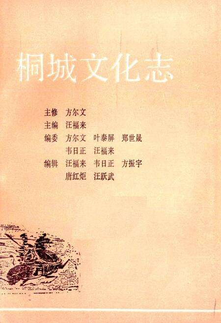 《桐城文化志》.pdf_安徽省志预览图1