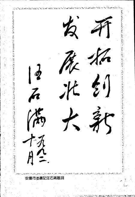 《安徽省桐城县轴瓦厂志》.pdf_安徽省志预览图2