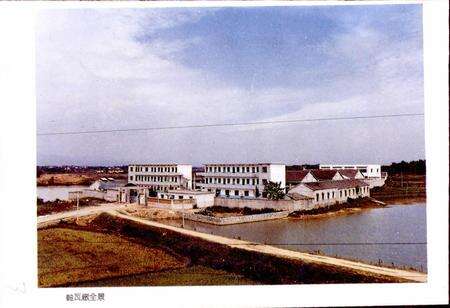 《安徽省桐城县轴瓦厂志》.pdf_安徽省志预览图4