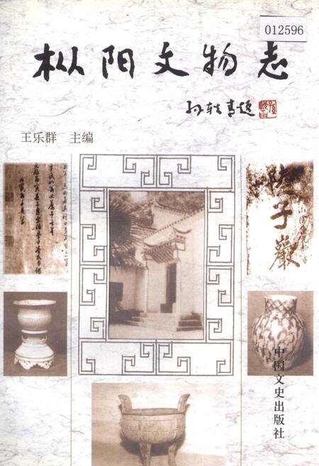 《枞阳文物志》.pdf_安徽省志缩略图