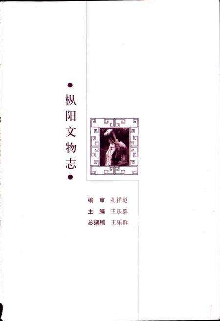 《枞阳文物志》.pdf_安徽省志预览图1