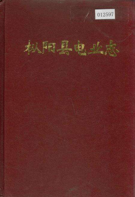 《枞阳县电业志》.pdf_安徽省志缩略图