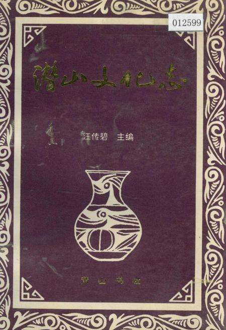 《潜山文化志》.pdf_安徽省志缩略图